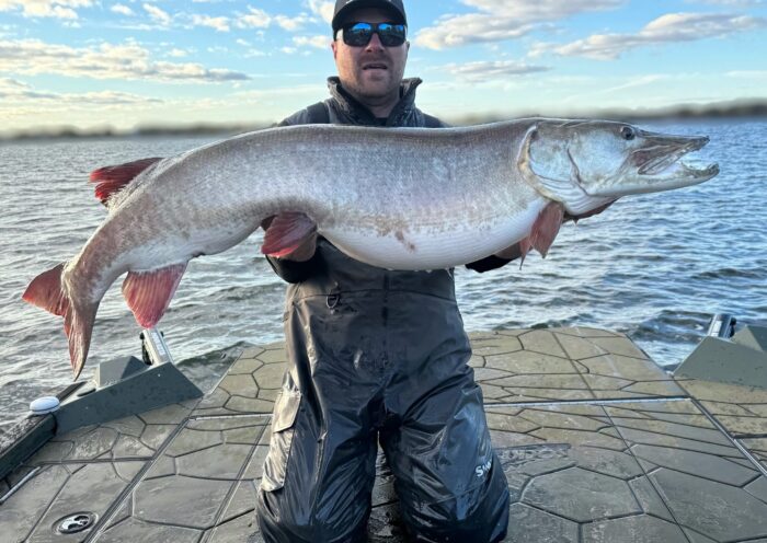 St. Croix Legend Elite Musky LEM86HF rod